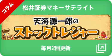松井証券マネーサテライト　ストックトレジャー